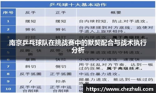 南京乒乓球队在挑战赛中的默契配合与战术执行分析