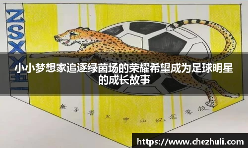 小小梦想家追逐绿茵场的荣耀希望成为足球明星的成长故事